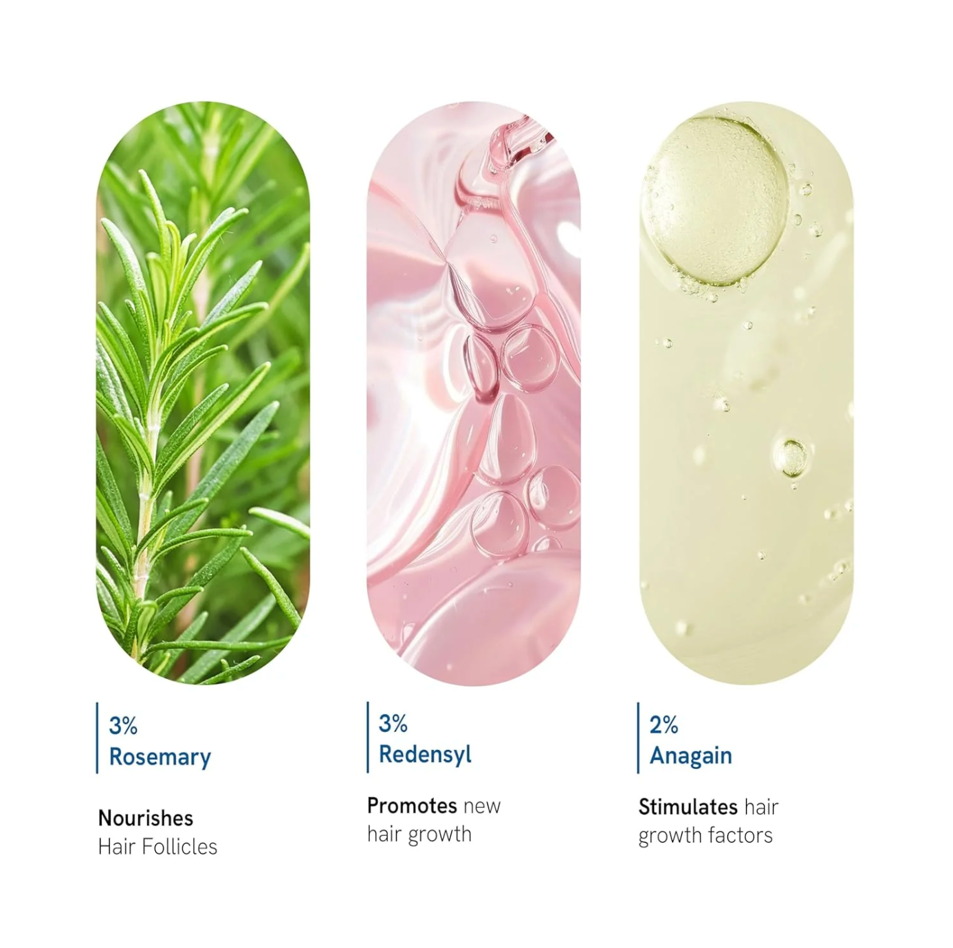 Constelle Rosemary Hair Growth Serum Roll On 25 ml | 3% Rosemary | 2% Aminexil | 3% Redensy l 2% Anagain | Precision Scalp Applicator | Paraben & Sulphate Free | Non oily and mess free